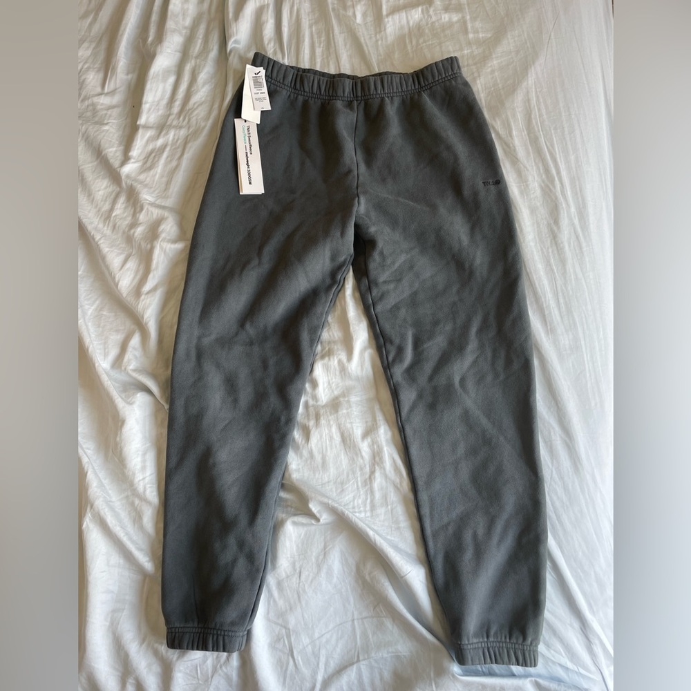 New Cozy Fleece Perfect Sweatpant from Aritzia (TNA) in Echo Gray